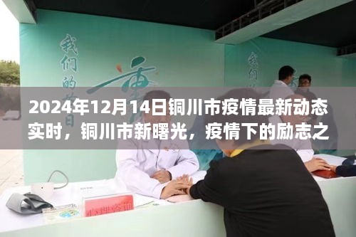 铜川市疫情最新动态及知识力量下的励志之旅（2024年12月14日）