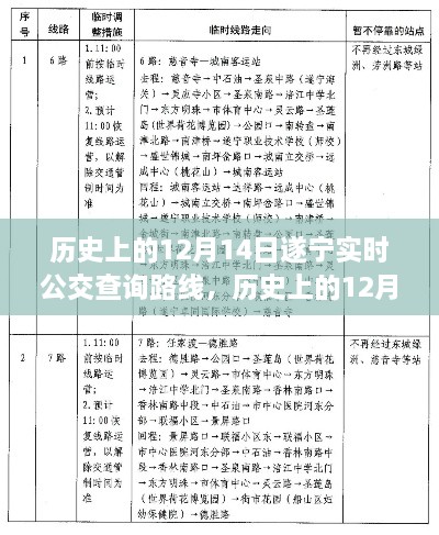 历史上的12月14日遂宁实时公交路线深度评测与介绍，查询路线全解析