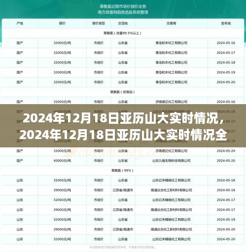 2024年12月18日亚历山大实时情况全面解析与介绍