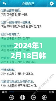 韩文实时字幕下载软件教程，适用于初学者与进阶用户的下载与使用指南（2024年12月18日版）