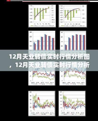 12月天业转债实时行情深度解析与产品评测