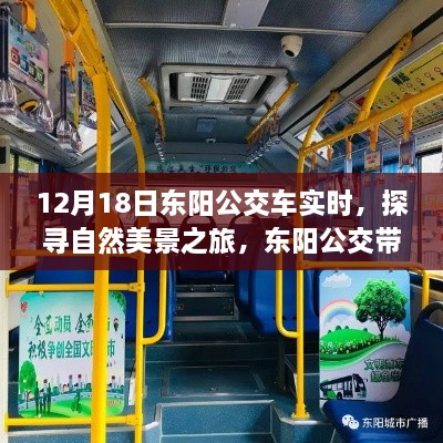 12月18日东阳公交实时探寻，自然美景之旅的宁静世界