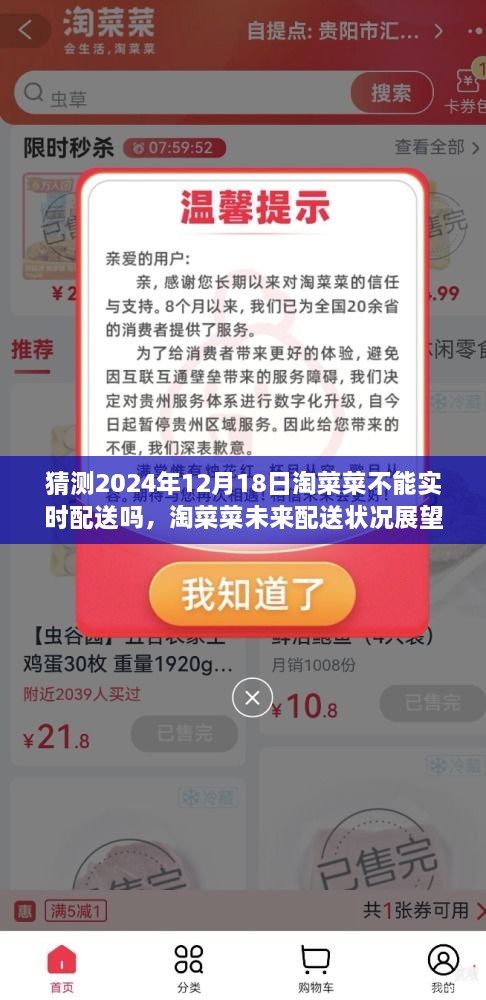 淘菜菜未来配送展望，聚焦预测2024年淘菜菜配送状况及能否实现实时配送猜测