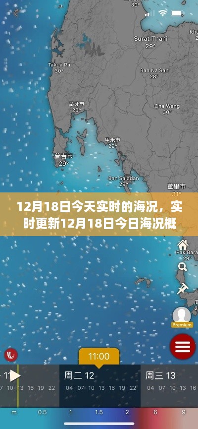 12月18日海况实时更新，潮汐涌动中的秘密概览