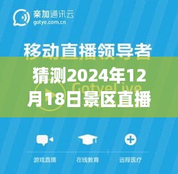 2024年景区直播实时播放设置指南，一步步走进直播新纪元，掌握设置技巧与流程！