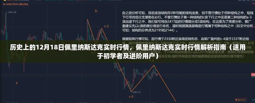 佩里纳斯达克实时行情解析，历史回顾与指南（适合初学者及进阶用户）