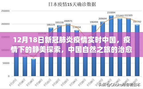 中国自然之旅的治愈力量，疫情下的静美探索与实时疫情观察