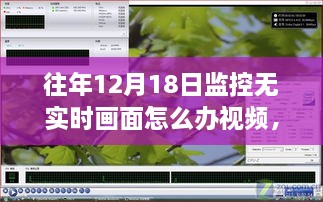 往年12月18日监控无实时画面问题深度解析与解决方案视频评测报告