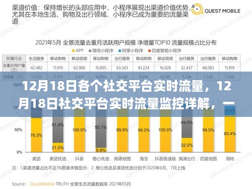 掌握流量数据，12月18日社交平台实时流量监控详解与应用技能提升