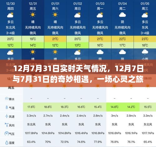 心灵之旅的奇妙相遇，揭秘12月7日与7月31日的实时天气情况