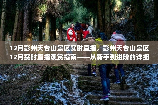 彭州天台山景区12月直播观赏指南，从入门到进阶的详细步骤