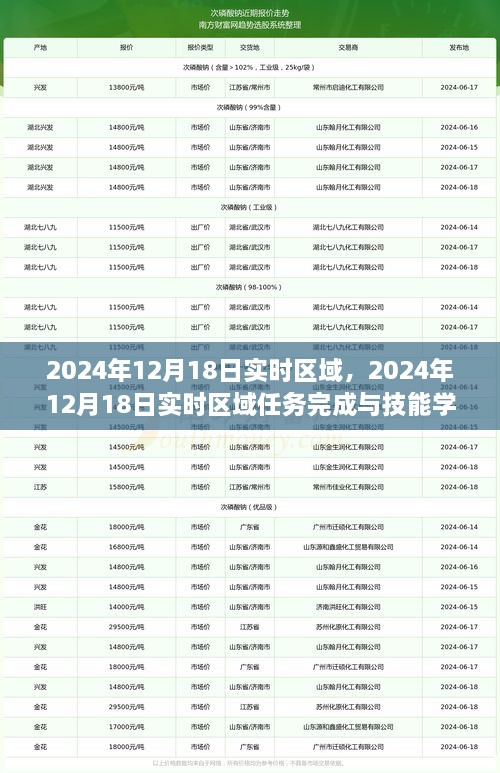 2024年12月18日实时区域任务完成与技能学习指南，初学者到进阶用户的全方位指南