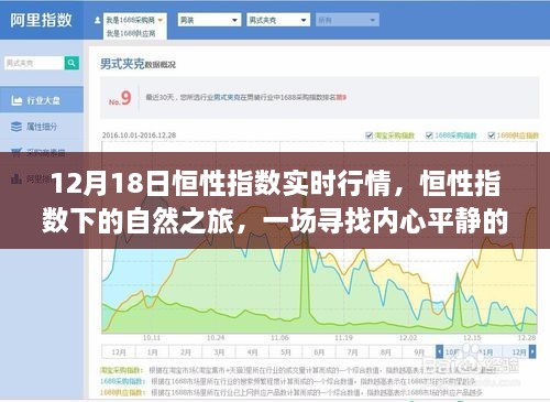 恒性指数下的自然之旅，寻找内心平静的探险与实时行情记录