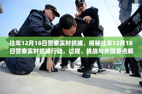 揭秘，警察实时抓捕行动过程、挑战与关键要点解析——以某年12月18日为例