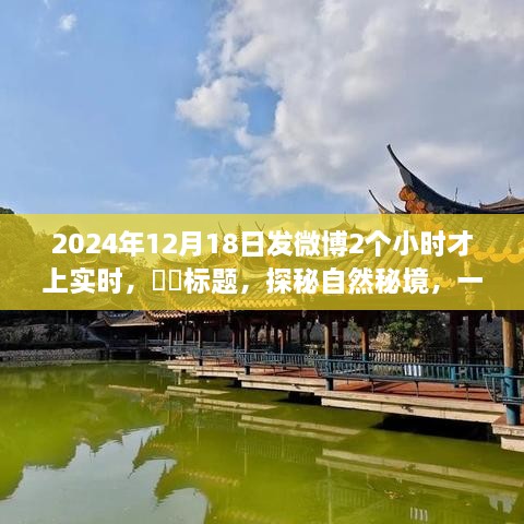 探秘自然秘境，微博晚登实时之旅的启示与体验​​