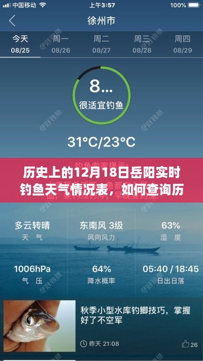 全面步骤指南，查询历史上的12月18日岳阳实时钓鱼天气情况表