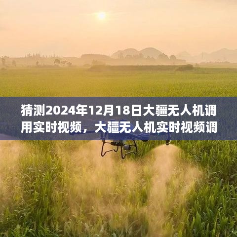 2024年12月21日 第9页