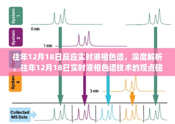 实时液相色谱技术观点碰撞与个人立场，深度解析与探讨