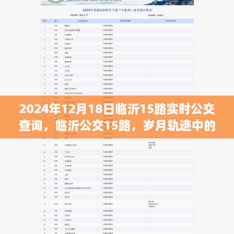 岁月轨迹中的城市脉动，临沂公交15路实时公交查询（2024年12月18日）