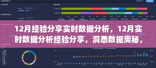 洞悉数据奥秘，12月实时数据分析经验分享，助力业务增长之道