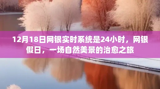 网银实时系统下的自然美景治愈之旅，全天候的网银假日体验