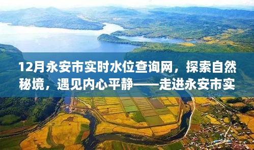 永安市实时水位查询网，探索自然秘境，体验心灵平静之旅