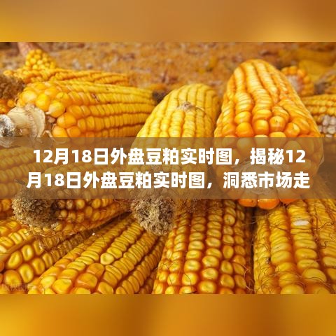 揭秘，12月18日外盘豆粕实时图与市场价格走势深度解析