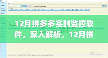 12月拼多多实时监控软件详解，功能与应用解析