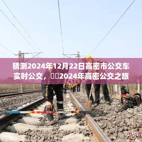 ​​2024年高密公交探寻之旅，自然美景与内心平静的寻觅，预测高密市公交车实时公交动态（2024年12月22日）