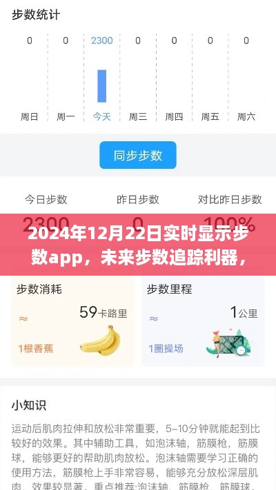 未来步数追踪利器，深度解析实时显示步数app的未来趋势（2024年）