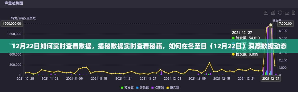 冬至日数据实时查看秘籍，洞悉动态，掌握实时数据查看技巧