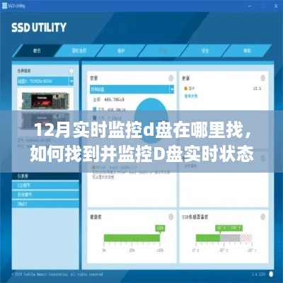 详细步骤指南，如何找到并实时监控D盘状态？十二月实时D盘监控攻略！