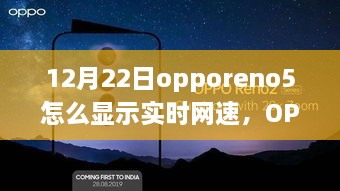 OPPO Reno5网速设置指南，自然中的真实自我探索之旅