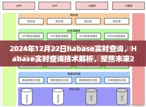 2024年Habase实时查询技术解析与应用展望