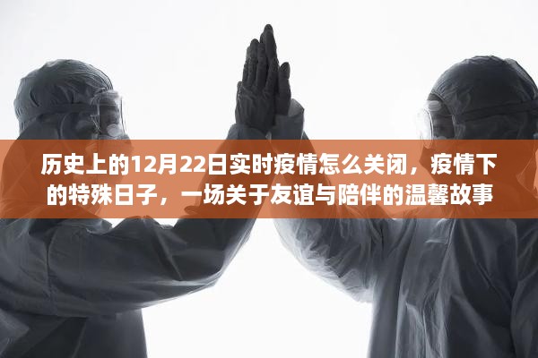 疫情下的特殊日子，友谊与陪伴的温馨故事，历史上的疫情实时记录如何关闭？