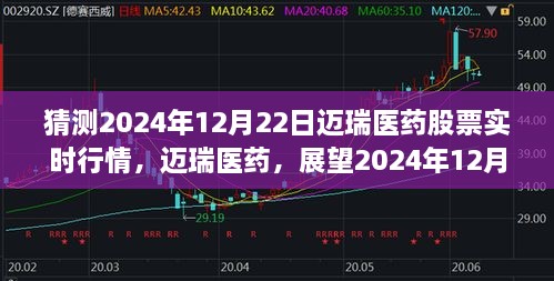 迈瑞医药股票行情预测，展望2024年12月22日的实时动态与未来趋势