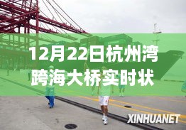 冬至壮丽画卷，杭州湾跨海大桥的传奇与实时状态观察