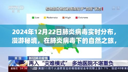 肺炎病毒实时分布下的自然之旅，探寻内心的宁静与奇迹之旅（2024年12月22日）