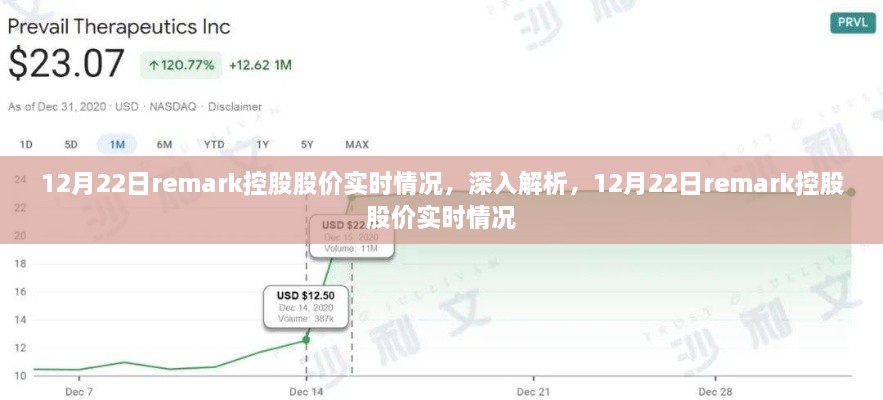 深度解析，12月22日Remark控股股价实时动态