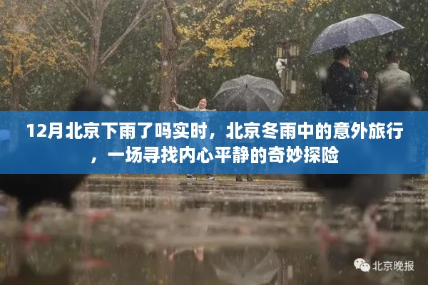 北京冬雨下的奇妙探险，寻找内心平静的意外旅行