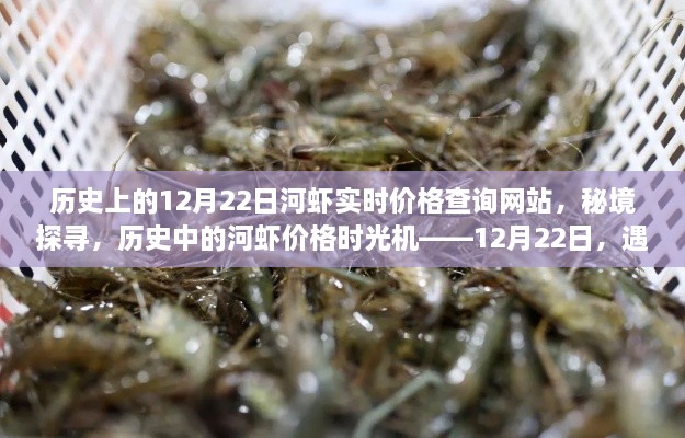 揭秘历史河虾价格，12月22日实时查询网站，探寻鲜味传奇