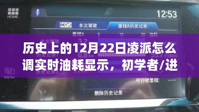 凌派车型实时油耗显示调整步骤详解，适用于12月22日与1月22日的初学者与进阶用户指南