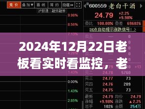 老板实操指南，如何利用实时监控系统观察与管理企业运营（2024年12月22日版）