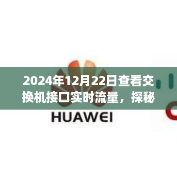 探秘网络流量守护者，交换机接口实时流量观测特色小店，2024年12月22日实时流量观察纪实