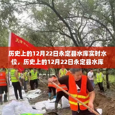 永定县水库历史水位深度解析，探究水位波动及其影响在12月22日的实时状况与观点阐述