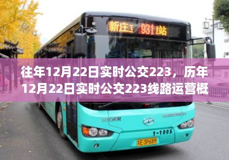 历年12月22日公交223线路运营概况及要点分析，实时数据深度解析