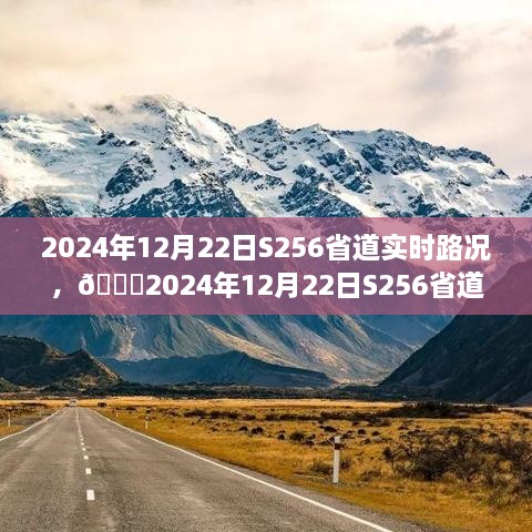 🌟S256省道实时路况分享，小红书上的驾驶体验🚗💨（日期，2024年12月22日）