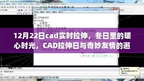 冬日CAD拉伸日，暖心时光与奇妙友情的邂逅