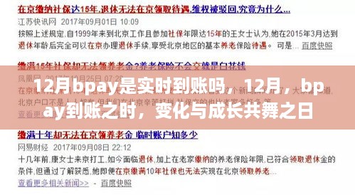 12月bpay实时到账解析，成长与变化的共舞之日