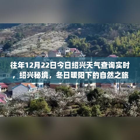 绍兴秘境，冬日暖阳下的自然之旅与心灵港湾实时天气预报查询